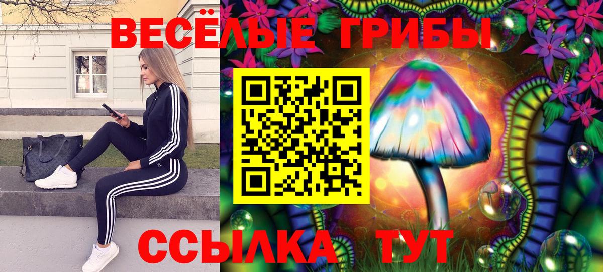 Усолье-Сибирское  Псилоцибиновые грибы мухоморы  Вход с VPN 