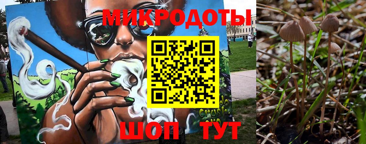 Псилоцибиновые грибы ЛСД Усолье-Сибирское